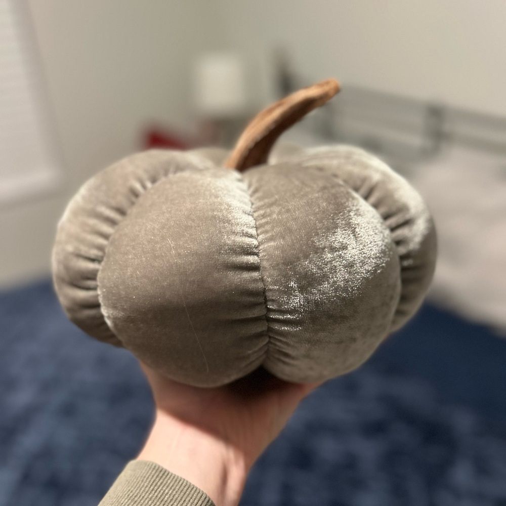Grey velvet pumpkin